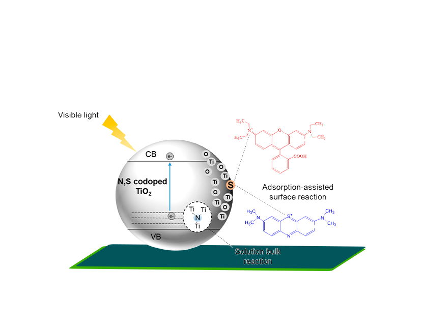 Graphical Abstract Impact